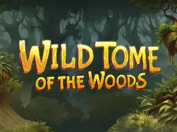 Wild Tome Game Banner